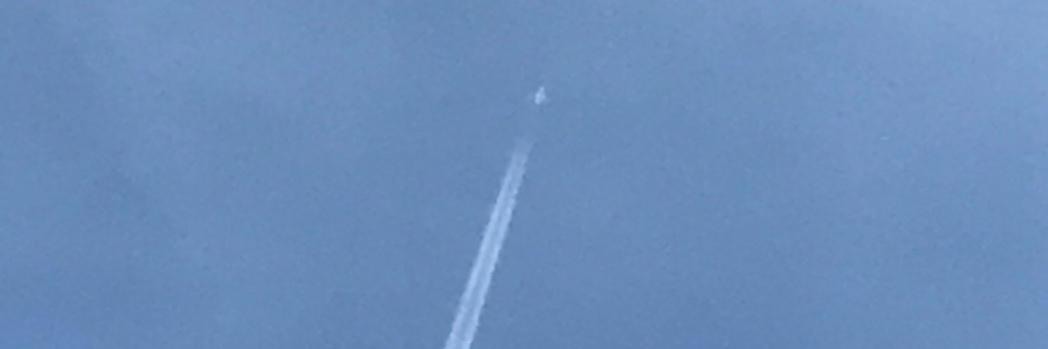 ぴら@肥満+ガタがきた ;( banner