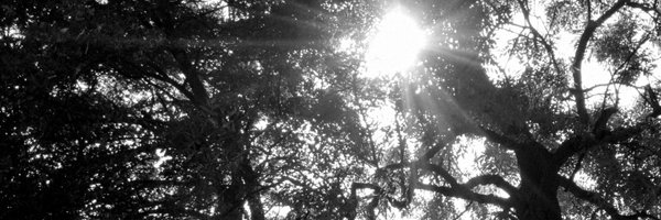 andrewjsurman Profile Banner