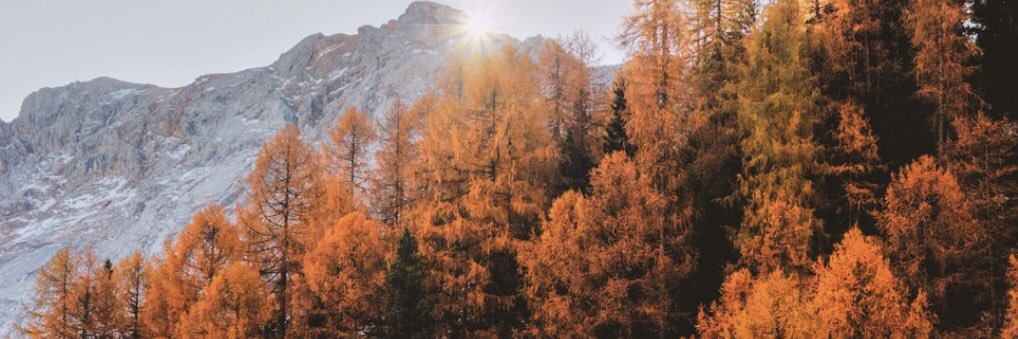ItsPandaaMandaa's profile banner image