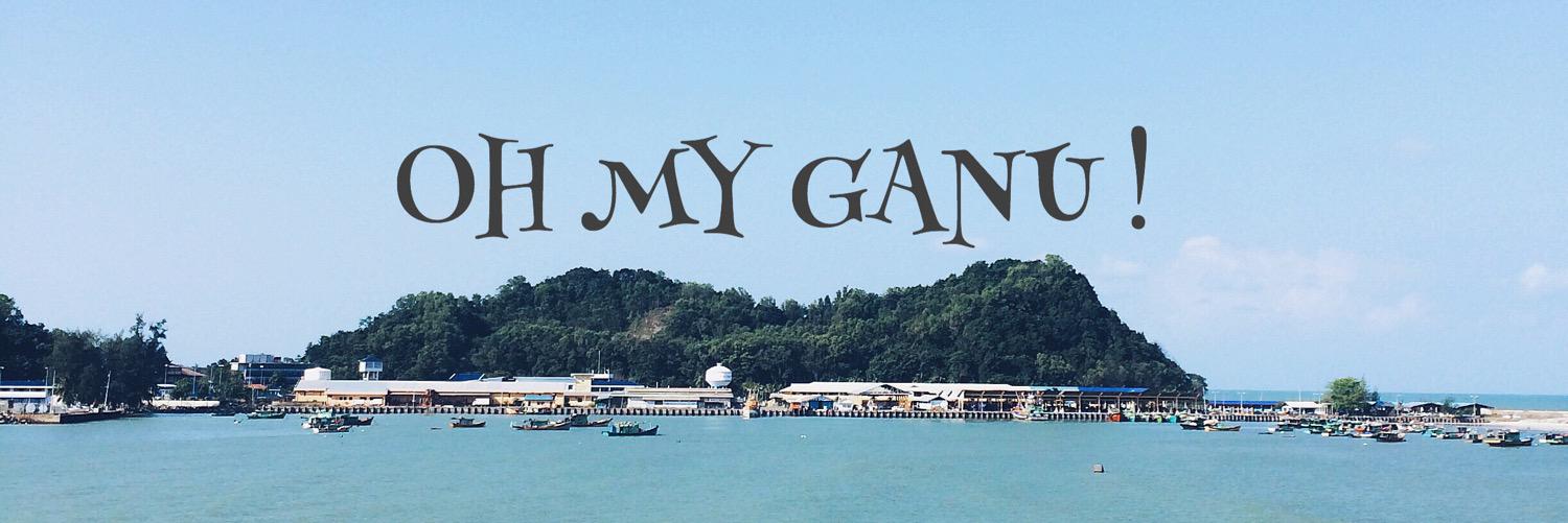 OhMyGanu's profile banner image