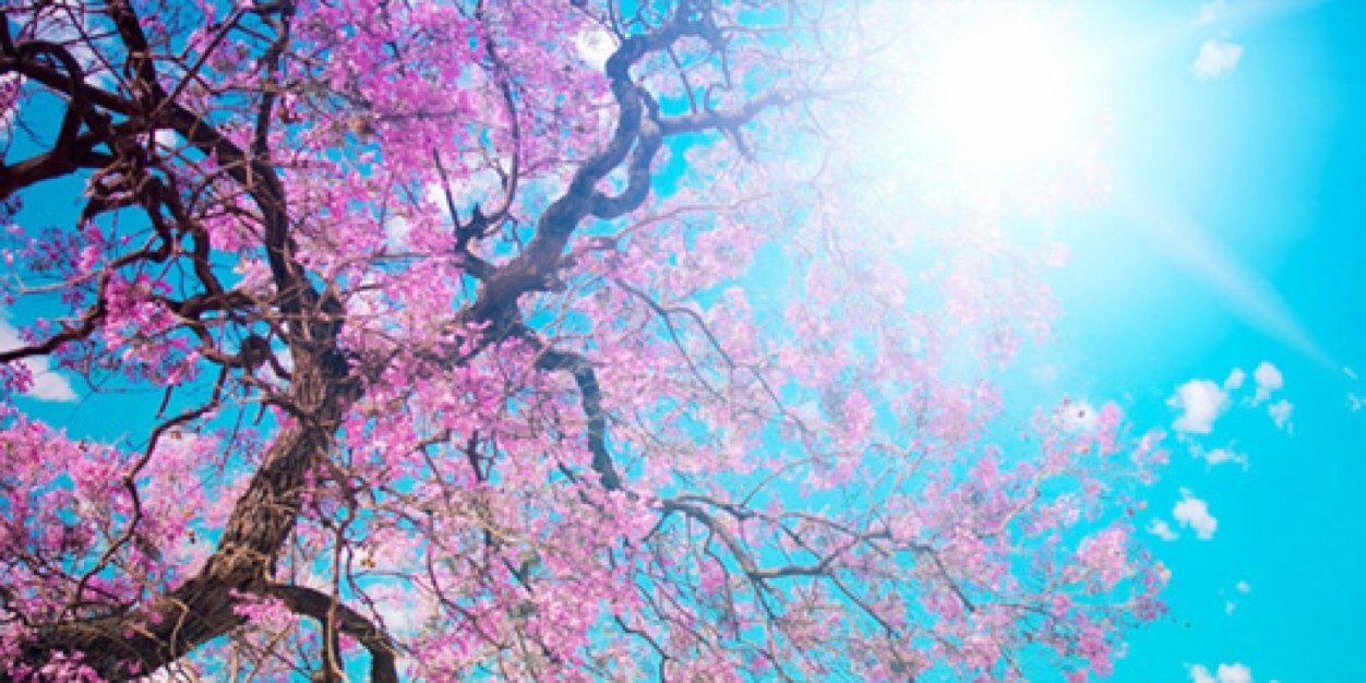 daniel_e88's profile banner image