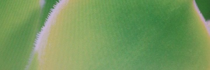 Feedback 🗣️🔄🎭🇵🇪🇱🇷 banner