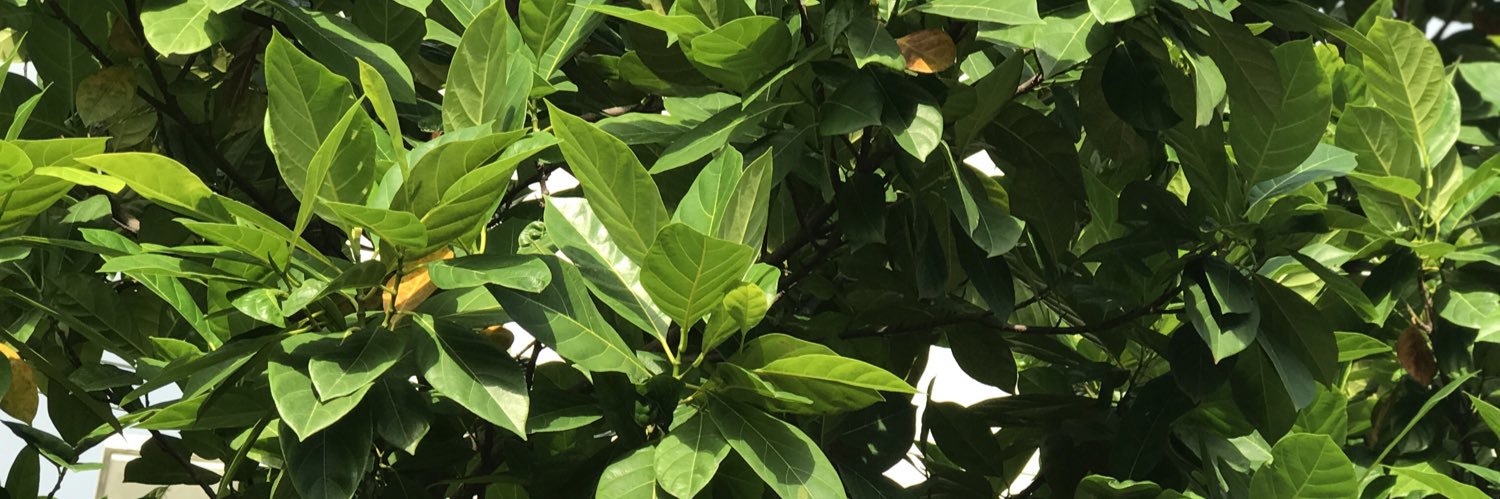 parrasitee's profile banner image