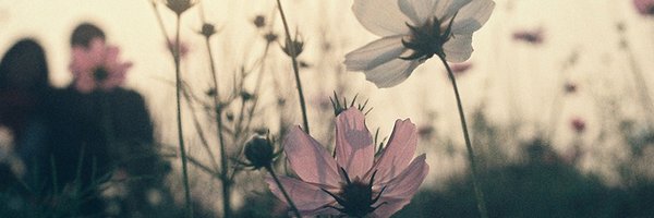 cgyoungclass Profile Banner