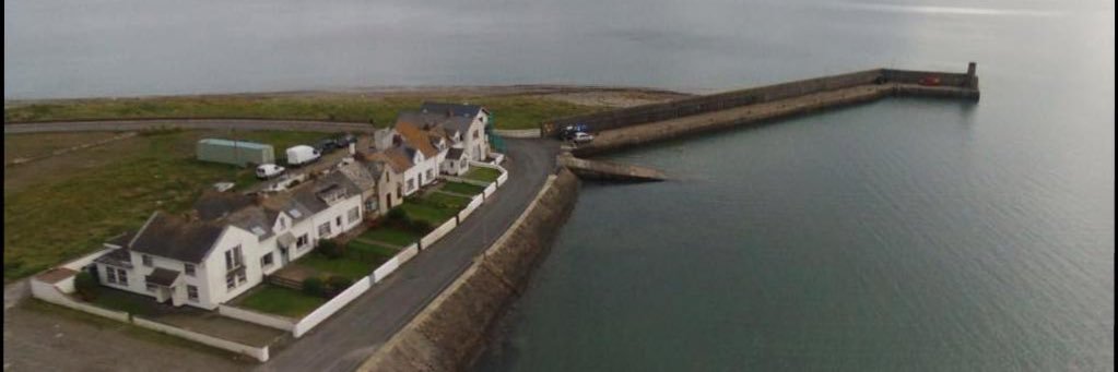 Michael Shine banner