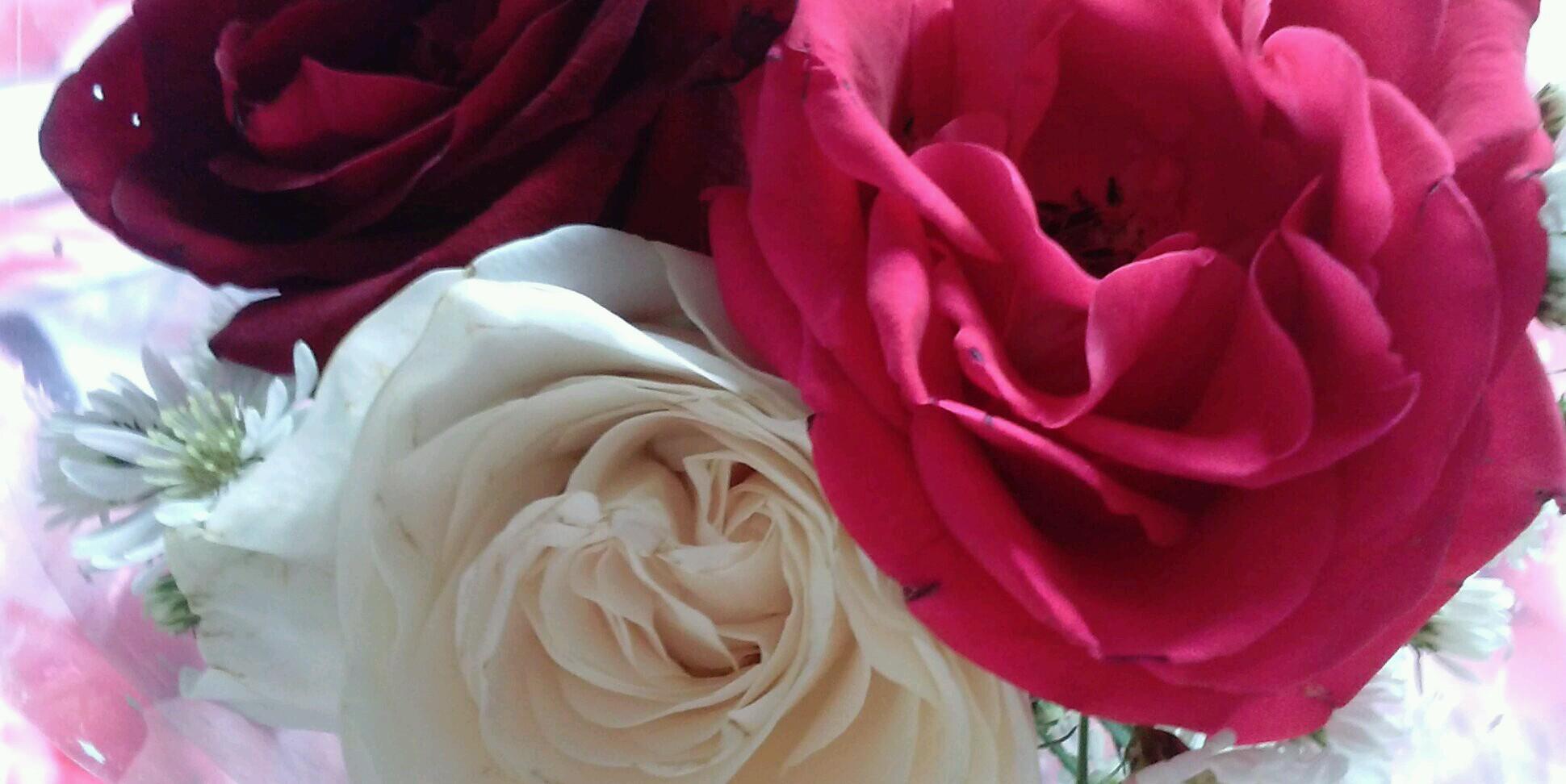hapsarimaria's profile banner image