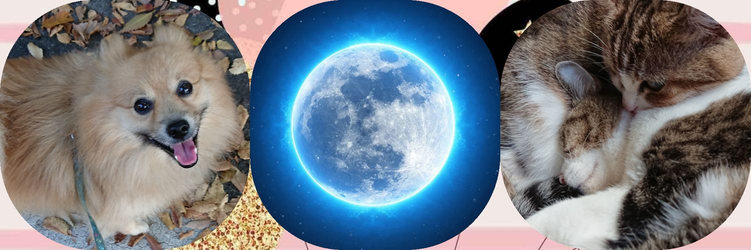 ✨🌝Haduki-Touch🌞✨(低浮上中ﾃﾞｽ🙇🏻‍♀️) banner