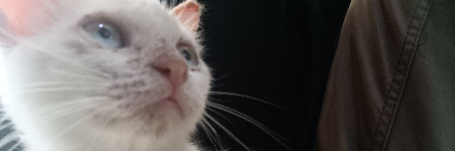ghozalium's profile banner image