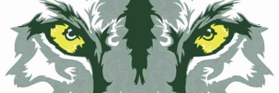 westlandVB's profile banner image