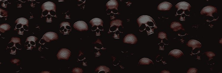 ADevotedPaladin's profile banner image