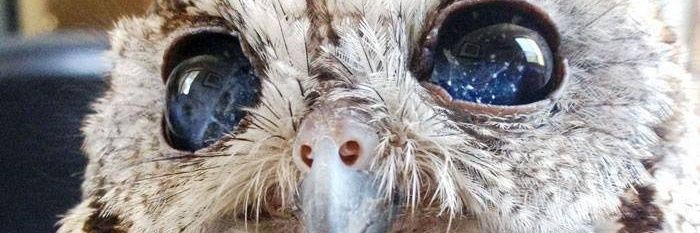 PoudelUnique's profile banner image