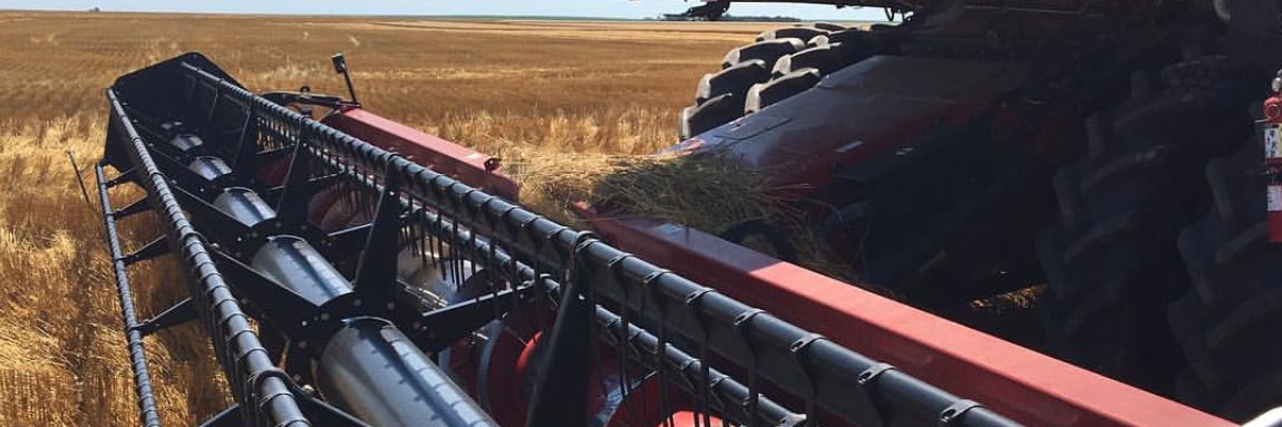 Rick Billinger banner