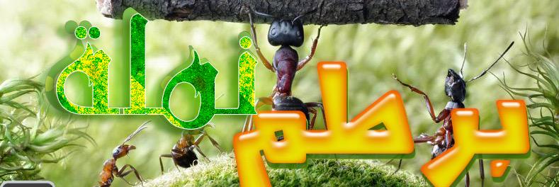 mqla3's profile banner image