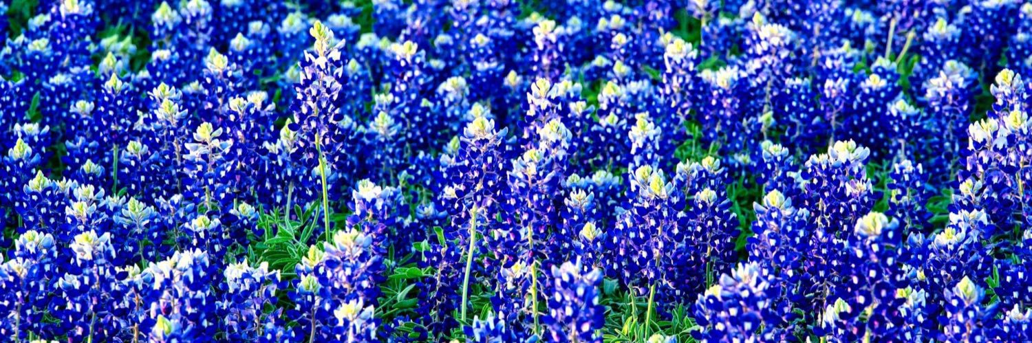 Patriot Barbie banner