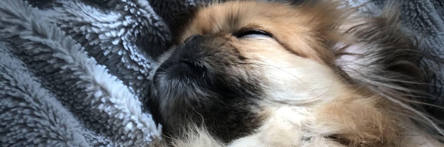 fizzix123's profile banner image