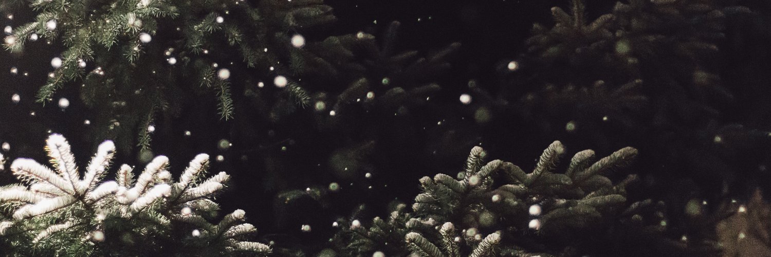_vvuwei's profile banner image