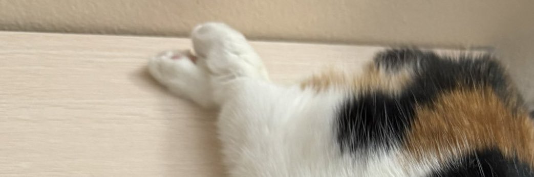 สลิ่มน้องบ๊วยค่ะ banner