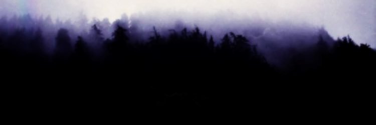 DatingAMoron's profile banner image