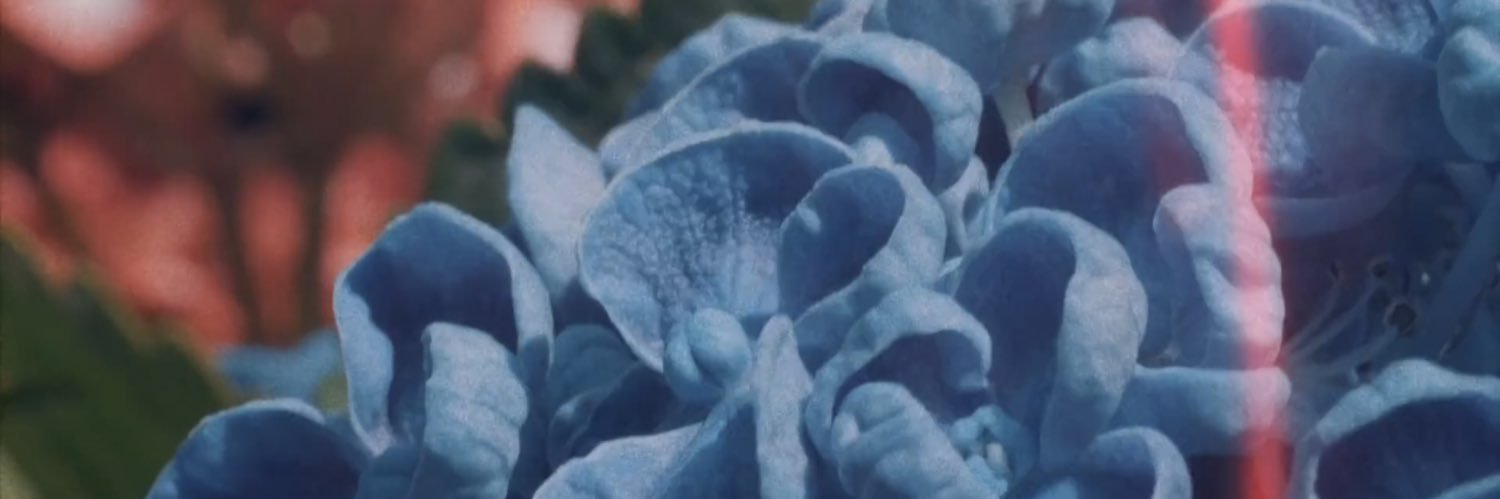 Mikeyscookie's profile banner image