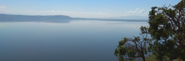 KResearcher Profile Banner