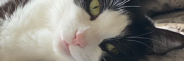 Writerbug67 Profile Banner