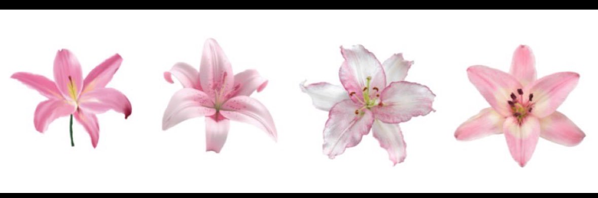 _dasmarie's profile banner image
