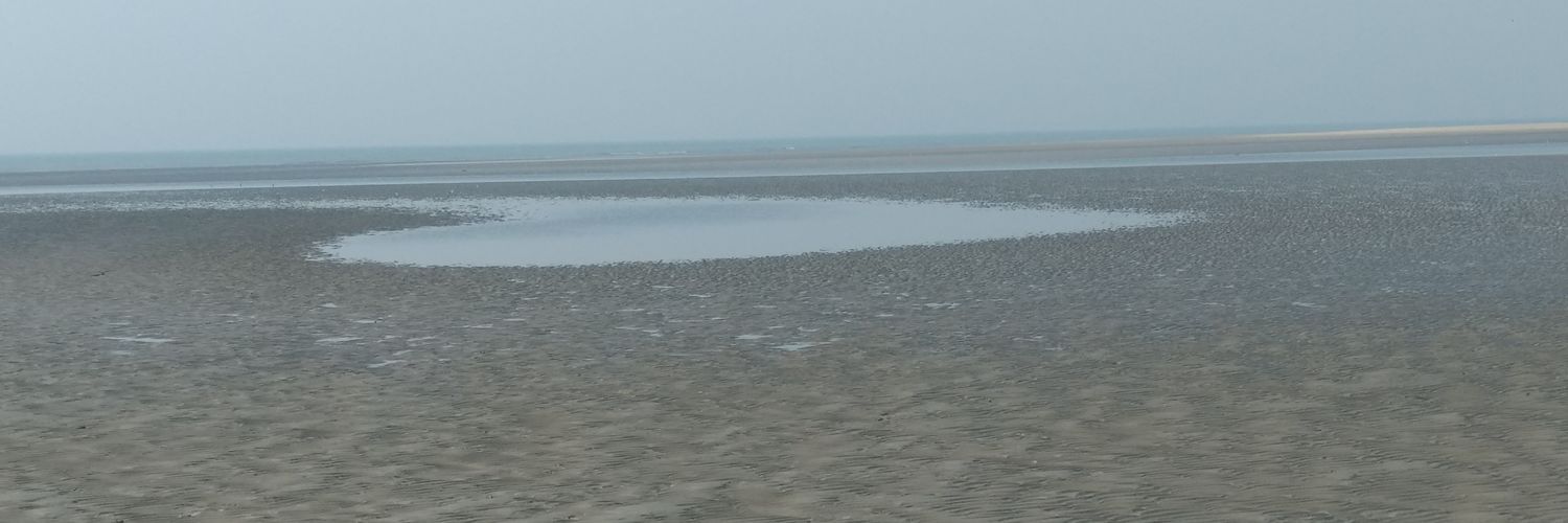 SillyBoyHBK's profile banner image