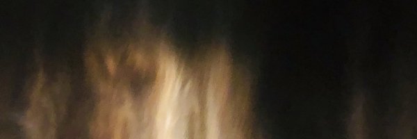 pusongqi Profile Banner