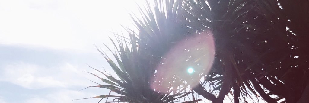 daniellehramos's profile banner image