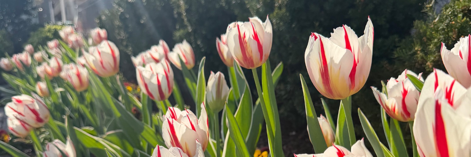 makkjw's profile banner image