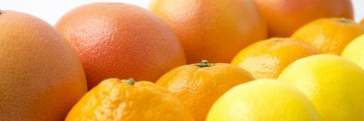 orange_mh's profile banner image