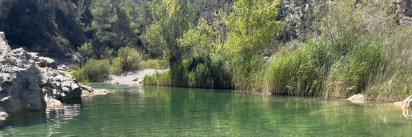 joancecejoan Profile Banner