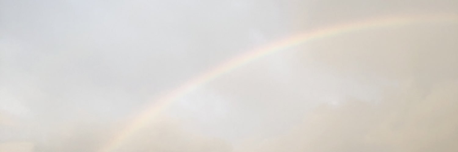 cocoyaka's profile banner image
