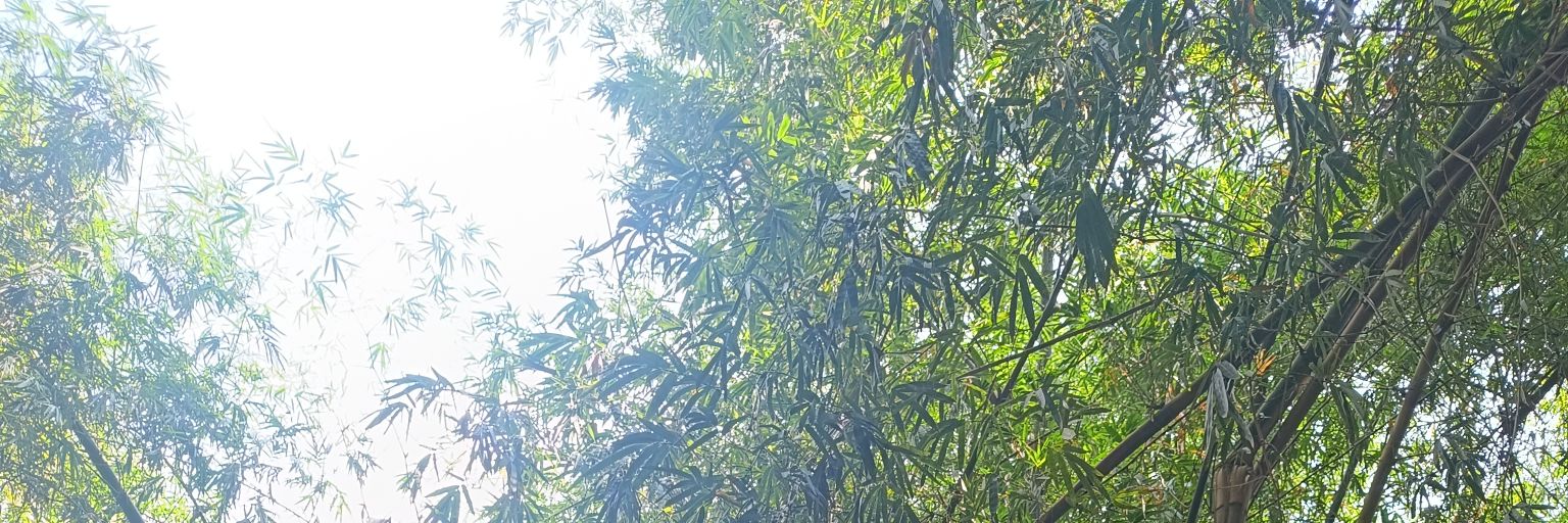 andusastrika's profile banner image