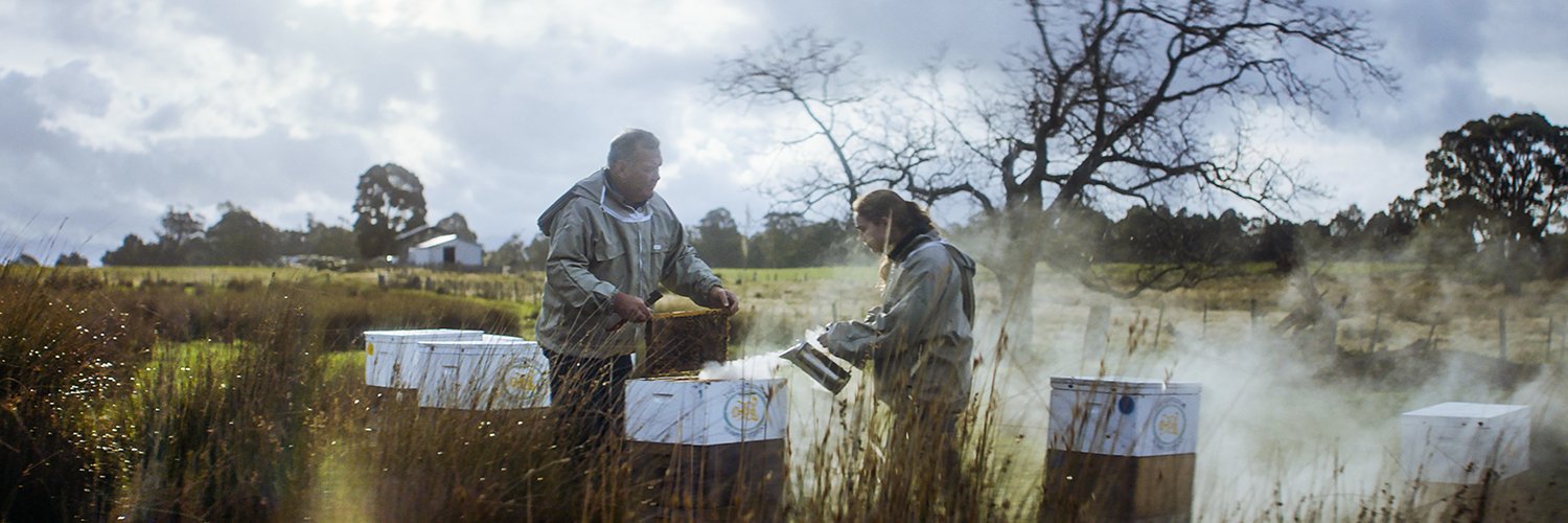 AusPost for Biz banner
