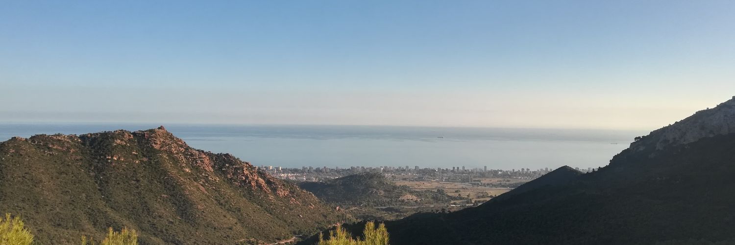 Mariola Tàrrega banner