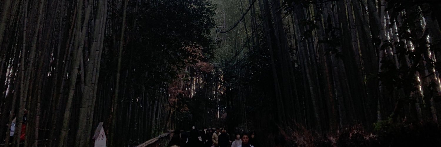 Z2Zn8's profile banner image