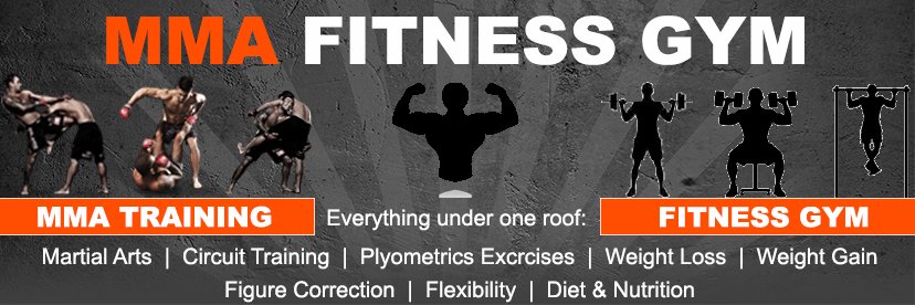 Brave Lion's Den MMA Fitness Gym banner