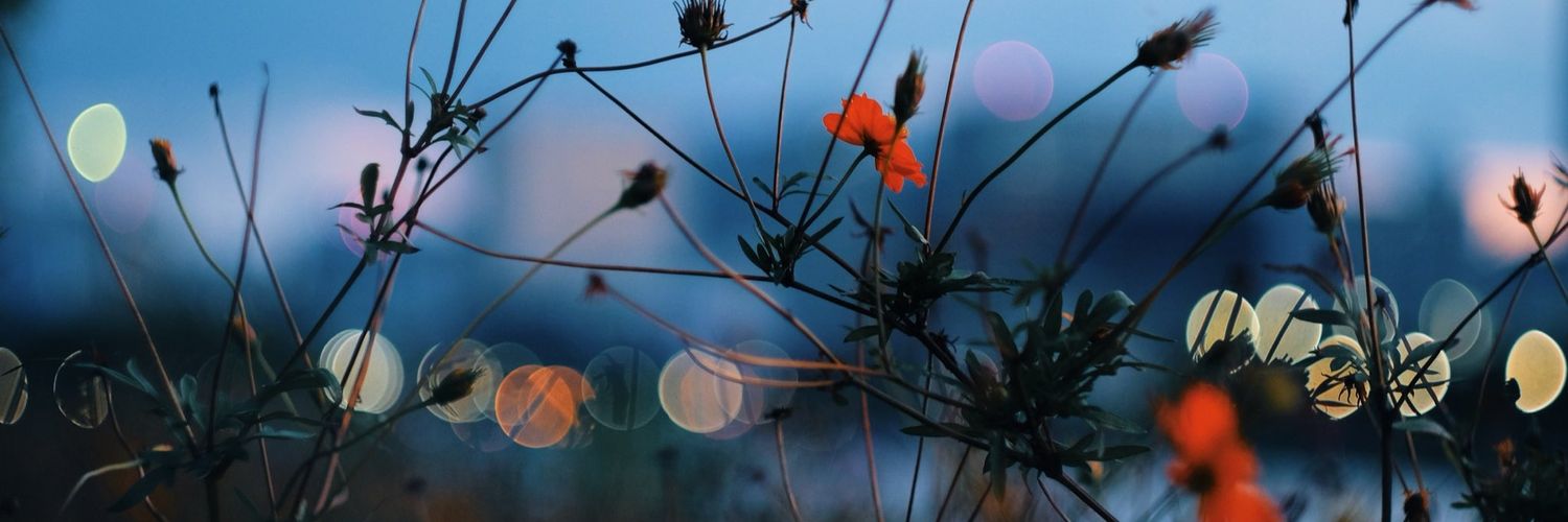 metahdag's profile banner image
