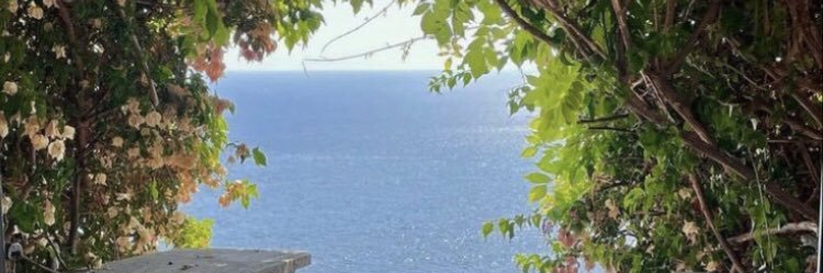 PatyLdH's profile banner image