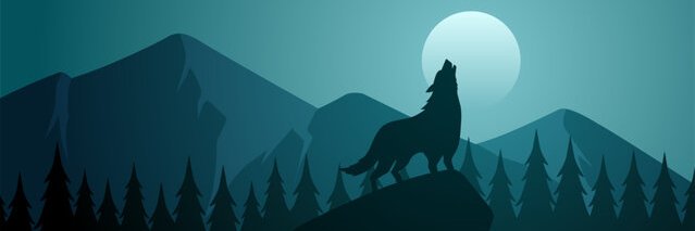 R banner