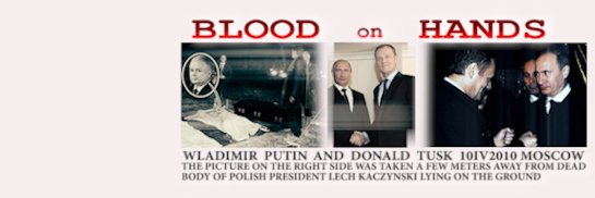 Ewa Stankiewicz - Jørgensen banner