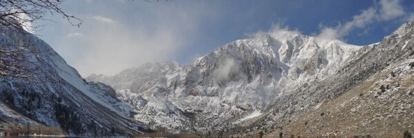 dgrice Profile Banner