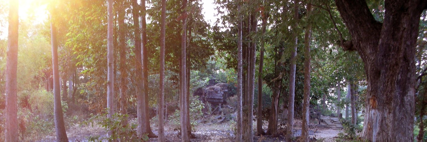 Martin Polkinghorne banner