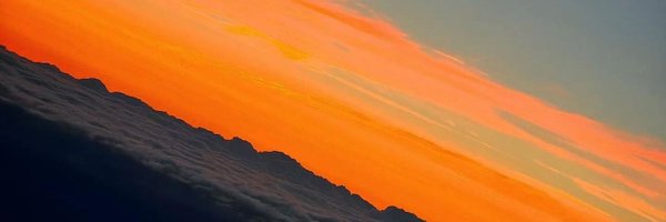 wink0229 Profile Banner