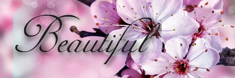 Ms_Beautiful011's profile banner image