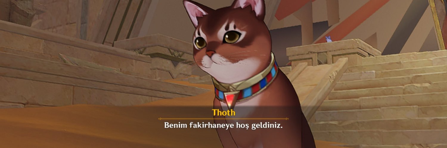 ucamadimki's profile banner image