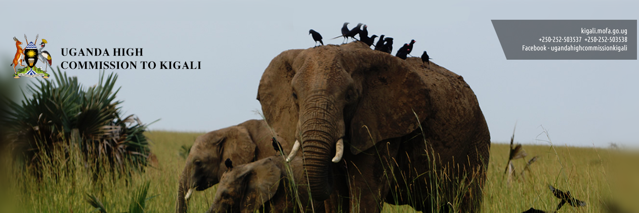 Uganda High Commission KIGALI banner