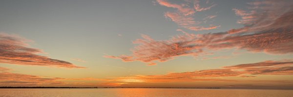 codingmonk Profile Banner