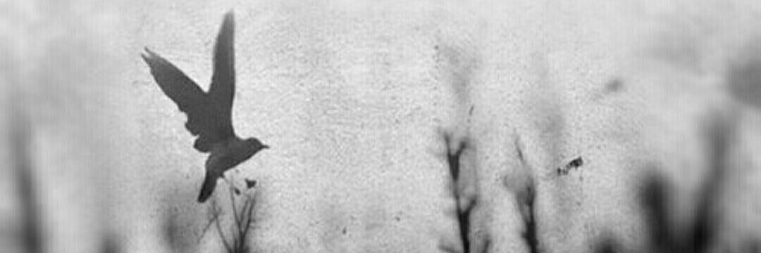 ___Hb9's profile banner image